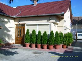 Betti Motel �s Gazs� Pihen�h�zak