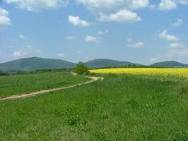 Alm�skert pihen�