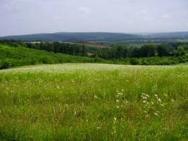 Ny�rfa Turistah�z