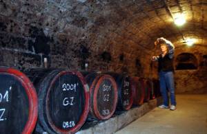 Apartmanok �s Ifj�s�gi sz�ll�s, Z�ldv�r Villa