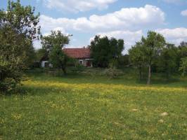 Fecskef�szek Vend�gh�z