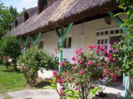 Z�ldsziget Kemping �s Apartman