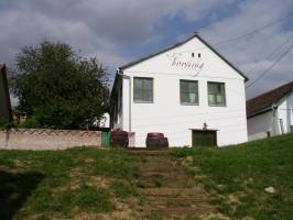 Borvir�g Vend�gh�z