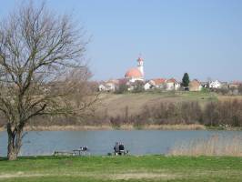 Borvir�g Vend�gh�z