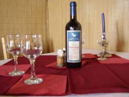 Szab� Pinc�szet - Sikl�s