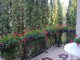 BMS EVENTS Apartmah�z 2