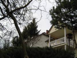 T�vir�g Vend�gh�z Zalacs�ny